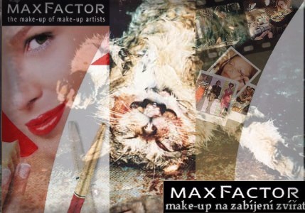 Max factor.jpg
